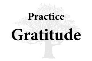 Practice Gratitude